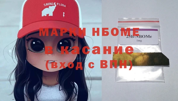дмт Богданович