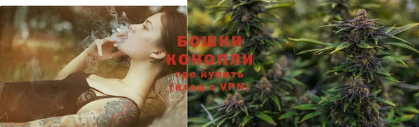 ECSTASY Бородино