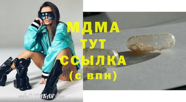 ECSTASY Бородино