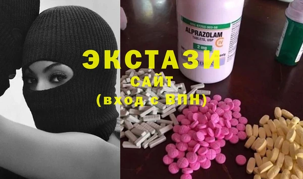 ECSTASY Бородино