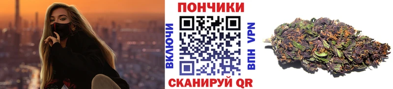 Канабис ГИДРОПОН Дубовка